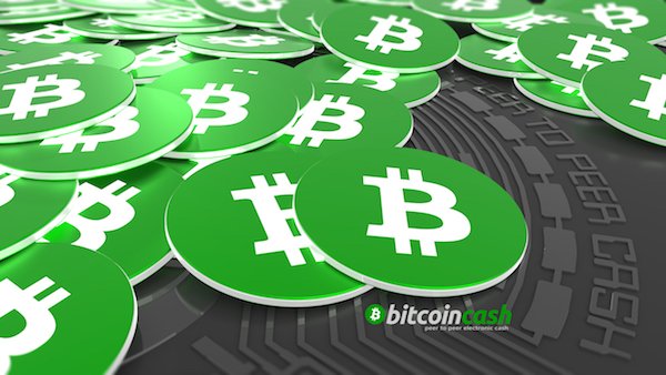 Is Bitcoin Cash the Only Public Blockchain with Current Capacity?