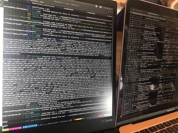  week ethereum testnet dev attempt client says 