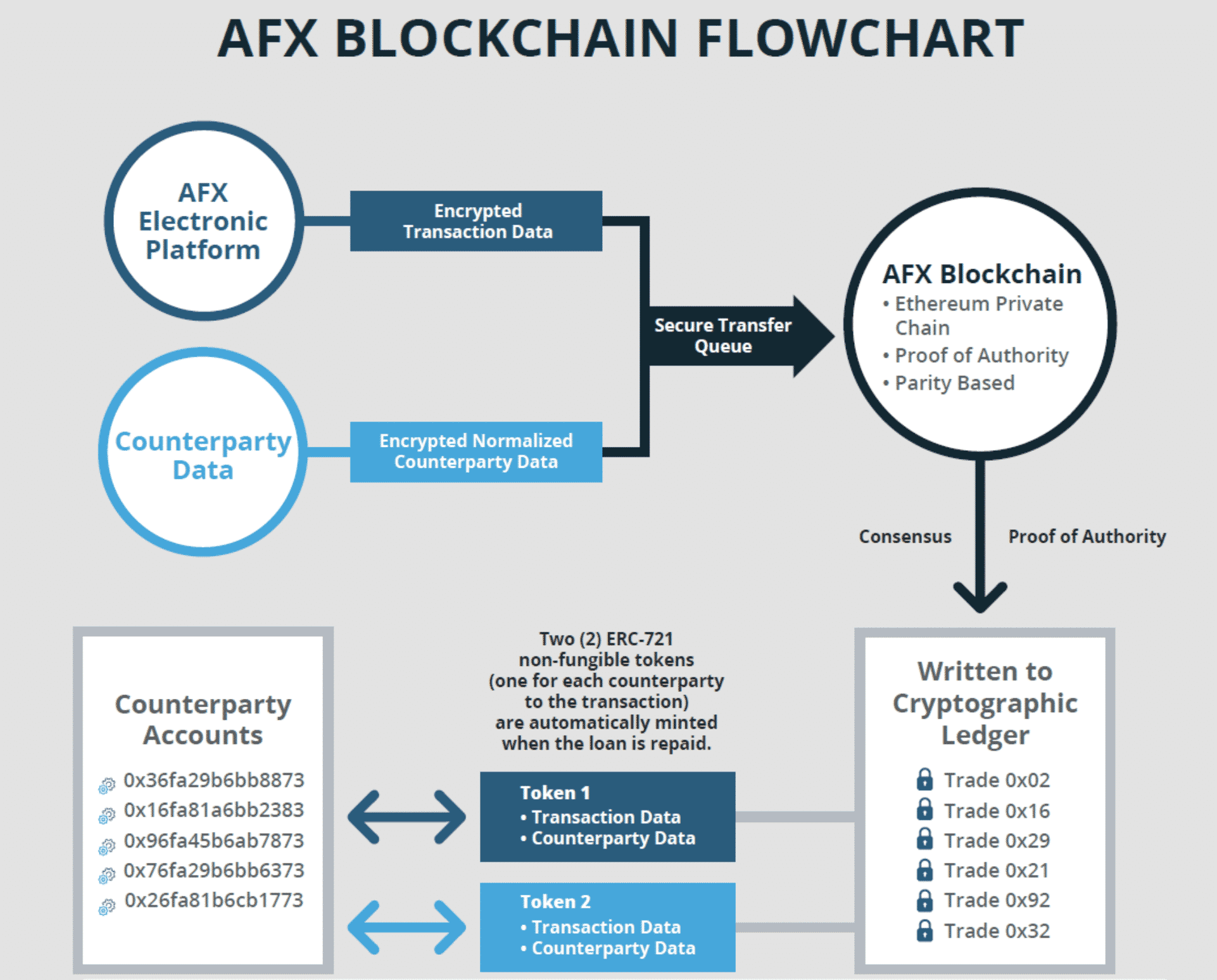 Ameribor's blockchain, June 2020