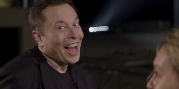 Musk troll face