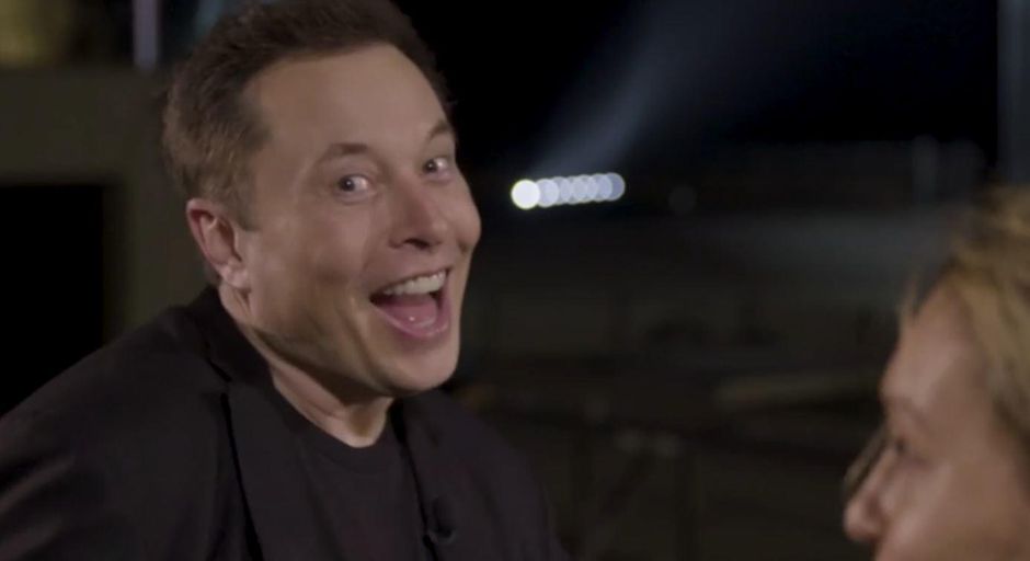 Musk troll face
