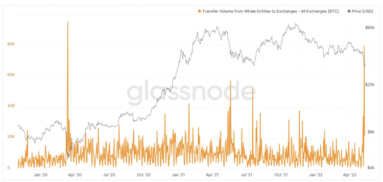 Bitcoin whale transfers to exchanges, May 2022
